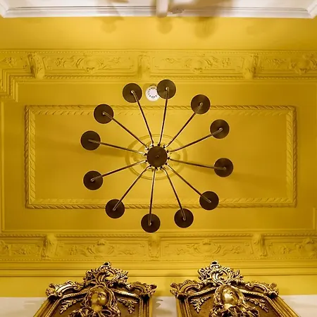 Magnova Vitality * Estambul